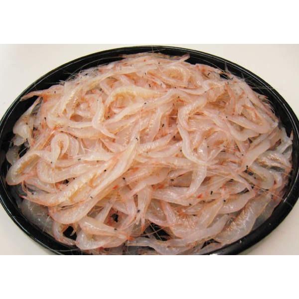 富山湾 白えび 生 約２００ｇ ３袋 富山湾の宝石 白エビ