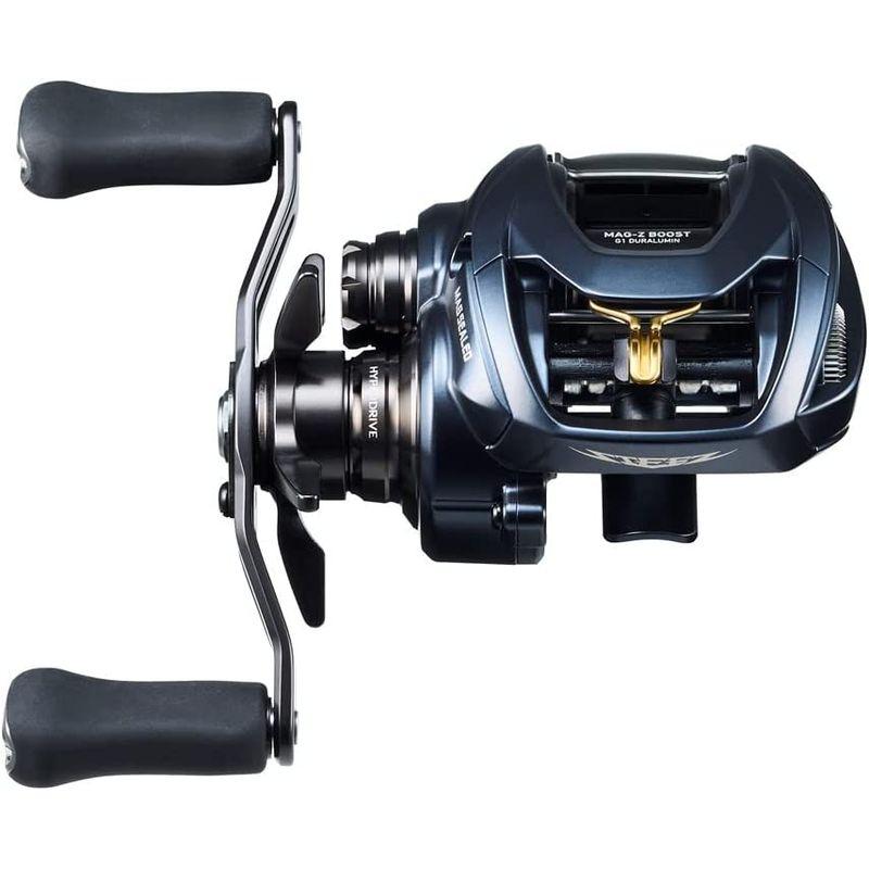【正規品】 ダイワ(DAIWA) ベイトリール STEEZ(スティーズ) AII TW 1000XH 2022年モデル 【YWU6658824130】(24093円)