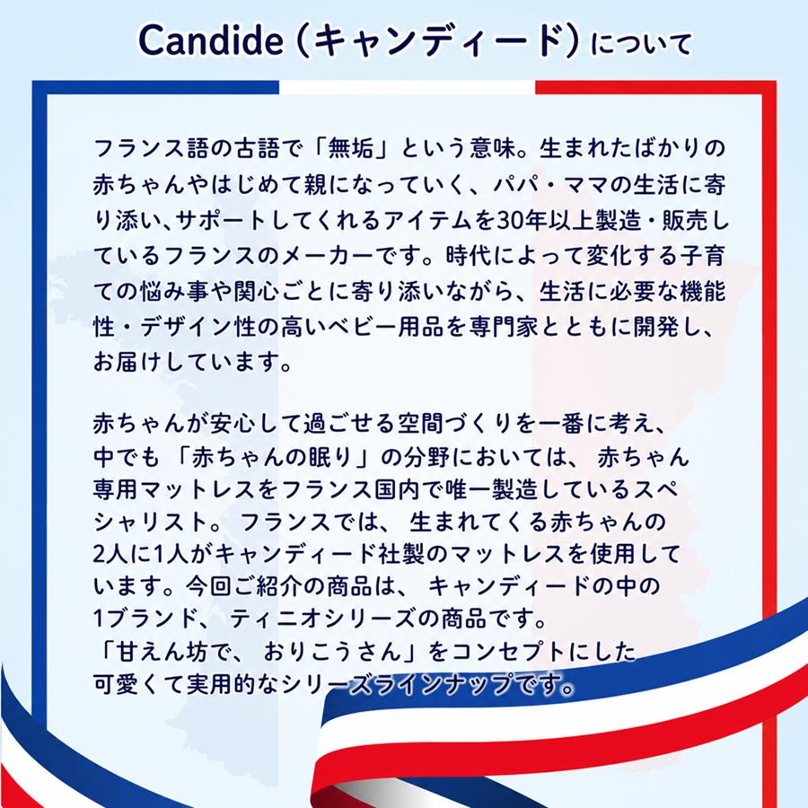 tineo マルチクッション 授乳クッション 授乳枕 抱き枕 腰枕 ベビーベッド ベビーネスト ビーズ Cカーブ 日本総代理店 送料無料の画像