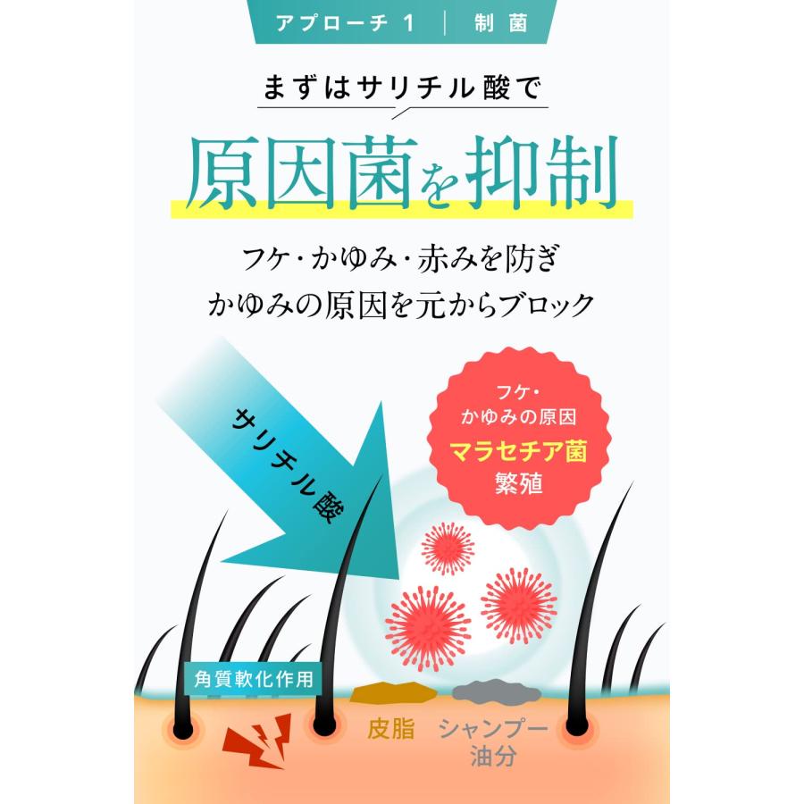 [医薬部外品] カダソンスカルプシャンプー＆トリートメント／脂漏性のフケ、かゆみにKADASON／初めての方にオススメのセット（各250mL、日本製｜simple-shop00｜04