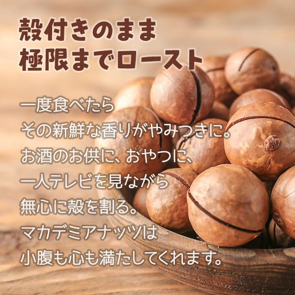 割って食べるから新鮮香ばしい　殻付きマカダミアナッツ　800g　マカデミアナッツ｜simplelifeshop｜03