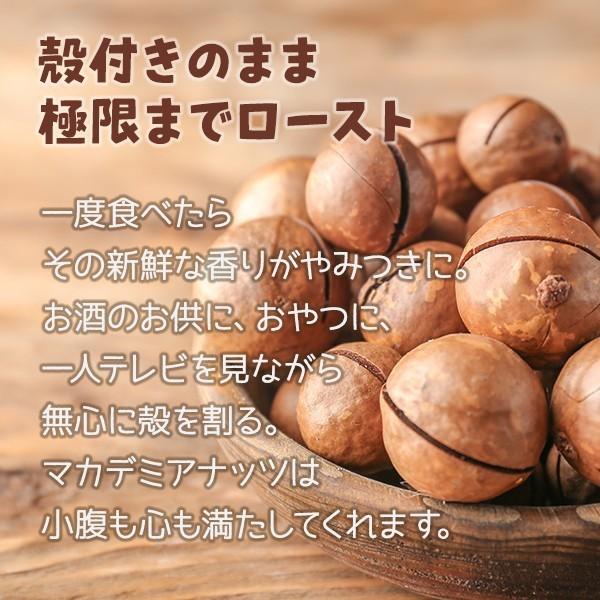 割って食べるから新鮮香ばしい 殻付きマカダミアナッツ 2kg(1kg×2袋