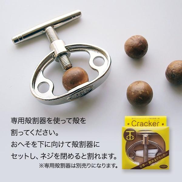割って食べるから新鮮香ばしい 殻付きマカダミアナッツ 2kg(1kg×2袋