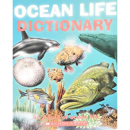 Ocean Life Dictionary An A to Z of Ocean Life(中古品) | 