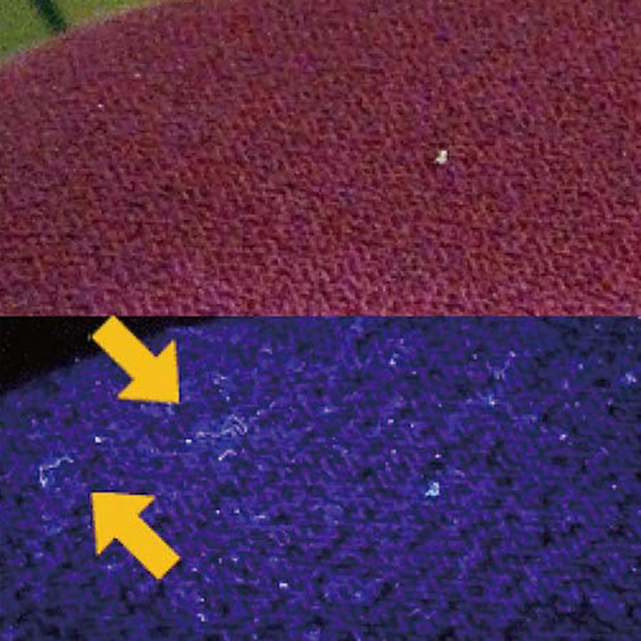 コンテック PW-UV343H-03L UV-LED 3灯 紫外線LED 375nm 日亜化学社製 紫外線 砲弾型 LED CONTEC (F) |  | 04