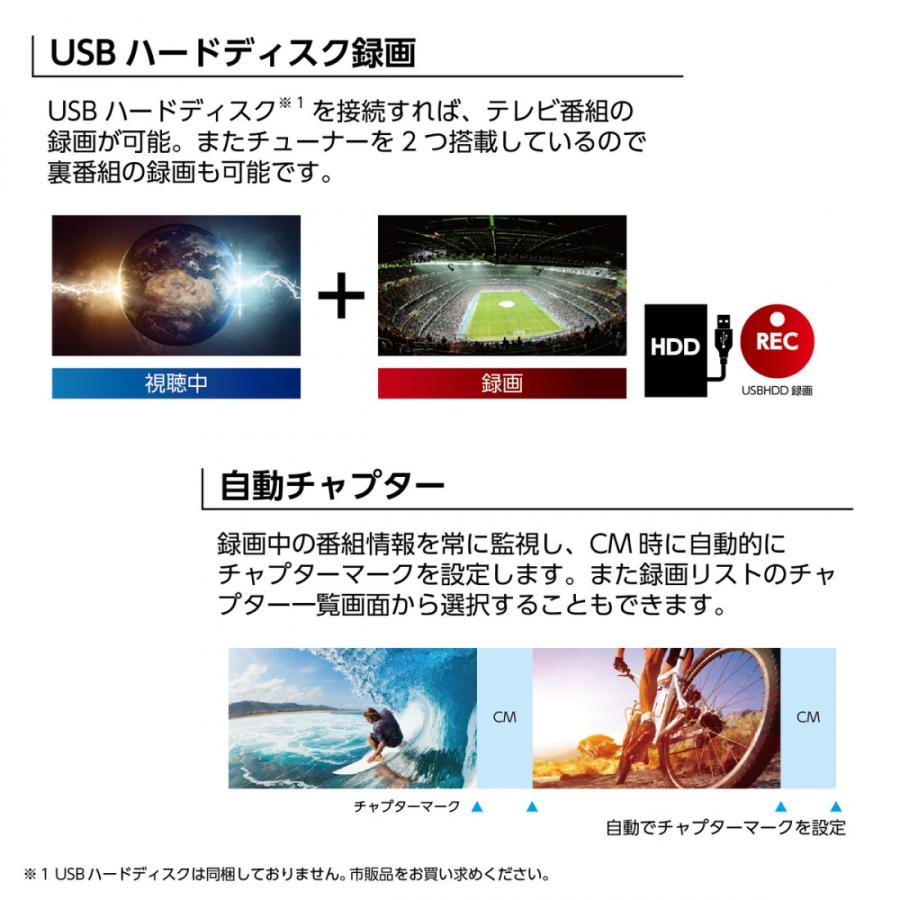 ORION オリオン 19V型 地上 BS 110度CSデジタル ハイビジョンLED液晶テレビOL19WD100 全国送料無料 (M) | オリオン電気（ドウシシャ） | 04