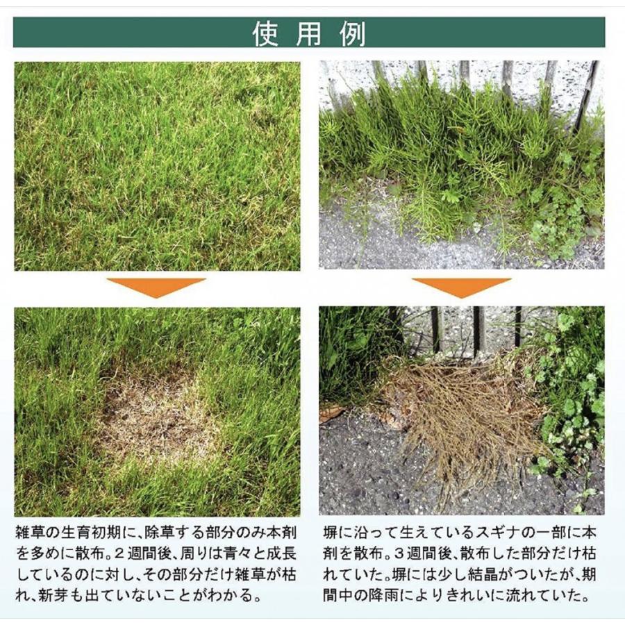 人にやさしい除草剤 18L α8341 人とペットと環境に配慮した 100%完全無農薬 の安全な 除草剤 日本製 (M) |  | 01
