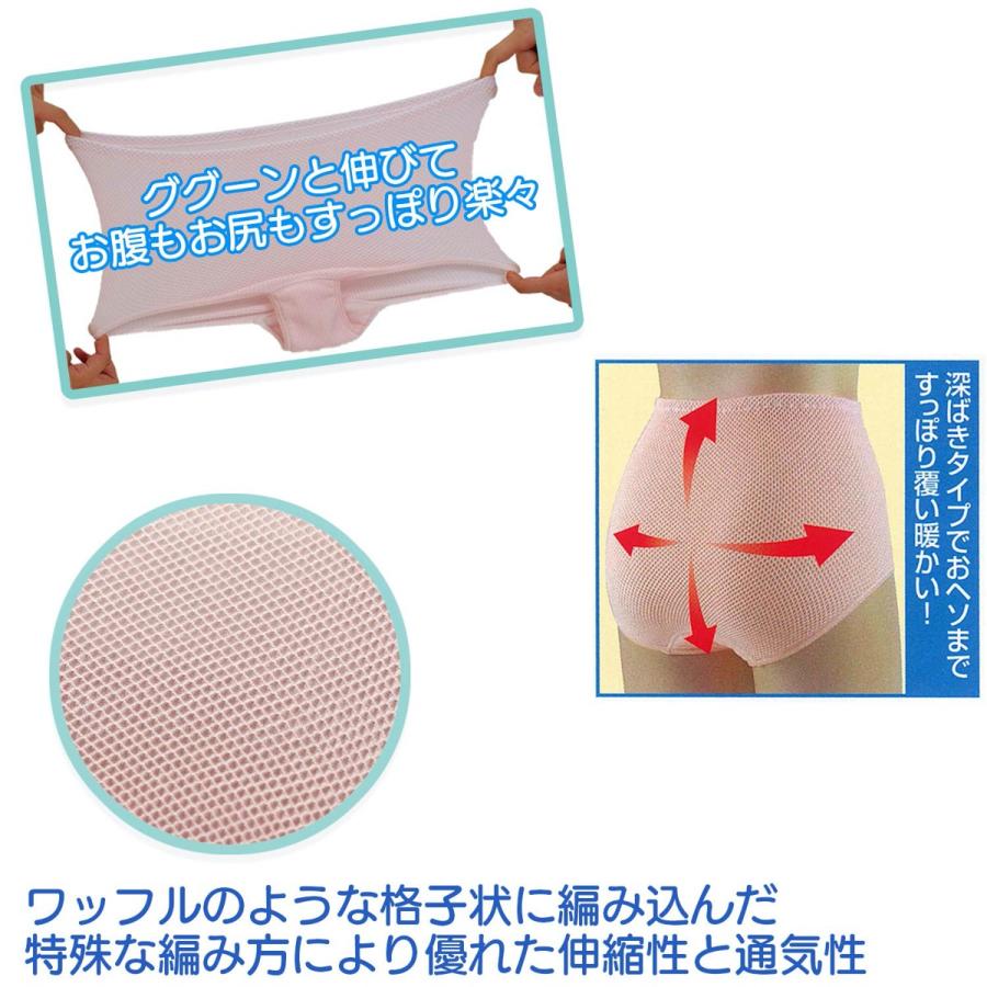 心地いい安心ショーツ 3色組 レディース 女性用  25cc軽失禁パンツ 尿漏れパンツ ヴィクトリー (05) |  | 03