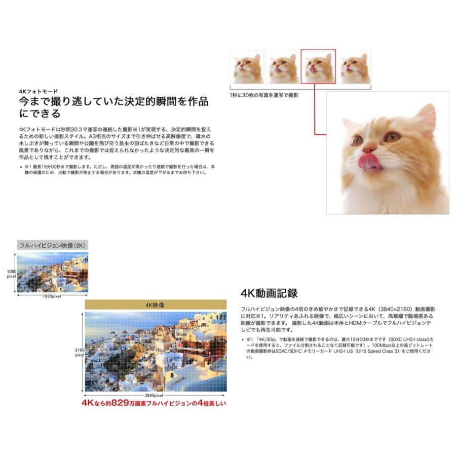 Panasonic DC-TZ90 高倍率 30倍 ズーム デジタルカメラ ルミックス TZ90 4K動画 デジカメ パナソニック (F) | Panasonic | 03