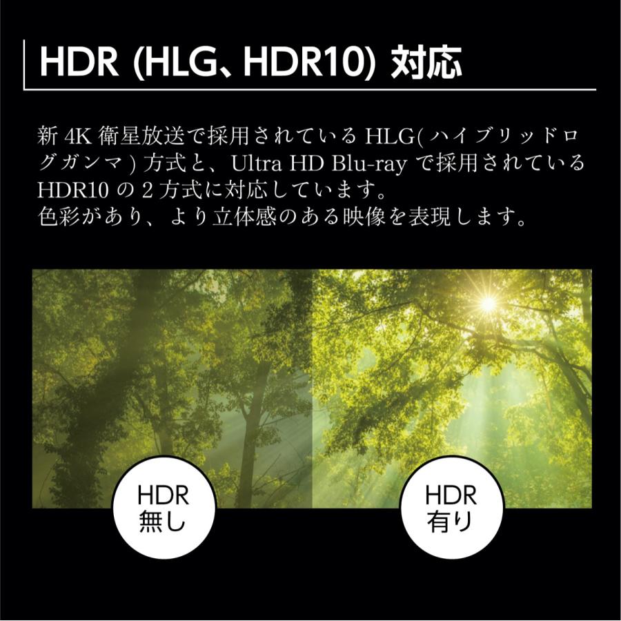 ORION オリオン 40V型 4Kチューナー内臓 液晶テレビ HDR10 HLG OL40XD100  3波 外付HDD録画対応（HDD別売)  (SG) | オリオン電気（ドウシシャ） | 06