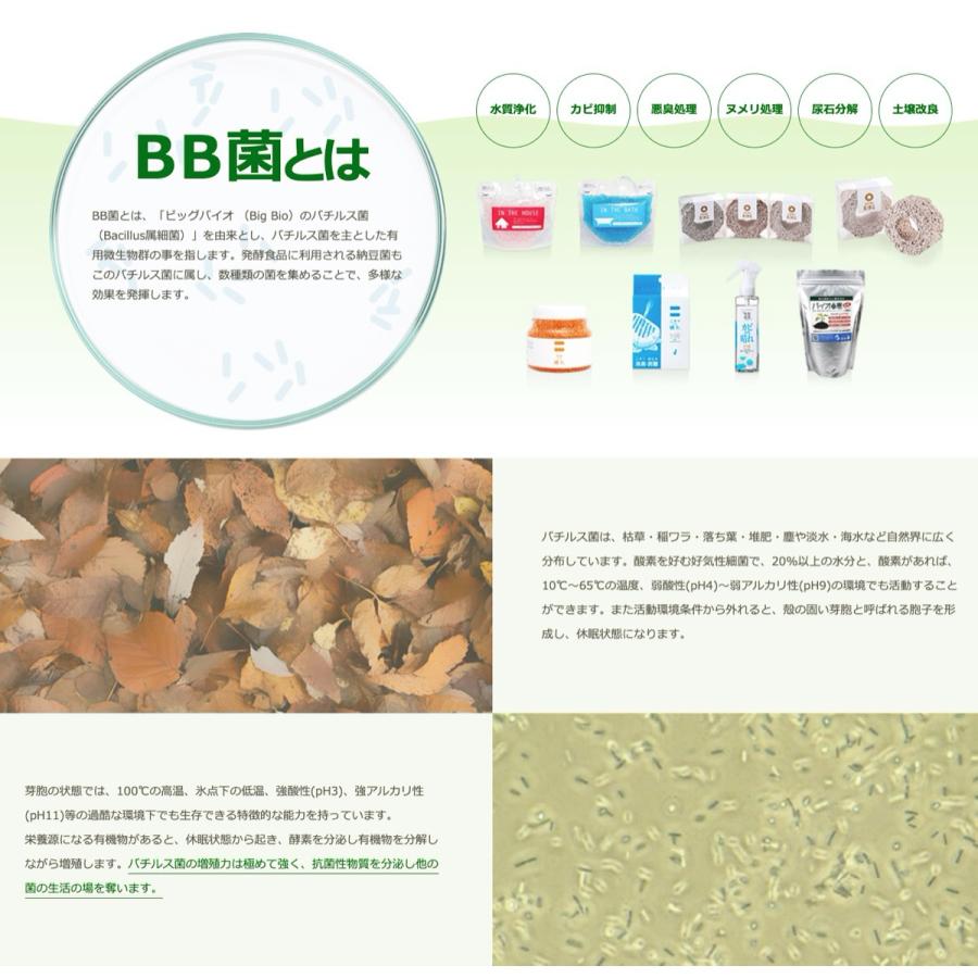 BIGBIO エコ・バイオマーブル 4個入り 水槽用 (3C) バイオマーブル |  | 03