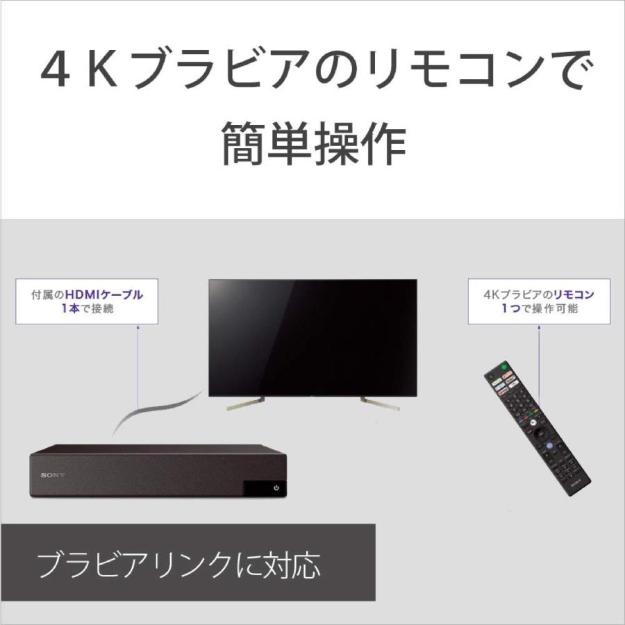 SONY 4Kチューナー DST-SHV1 BS/CS4K 地上デジタル ソニー (SN)｜simpleplus｜04