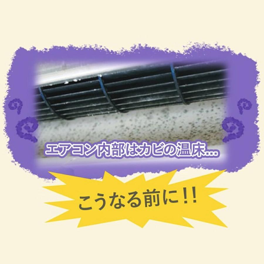 ビッグバイオ エアコン用 防カビ剤 with BIO カビ 防臭 消臭 除菌 (C) BIGBIO エアコン |  | 03