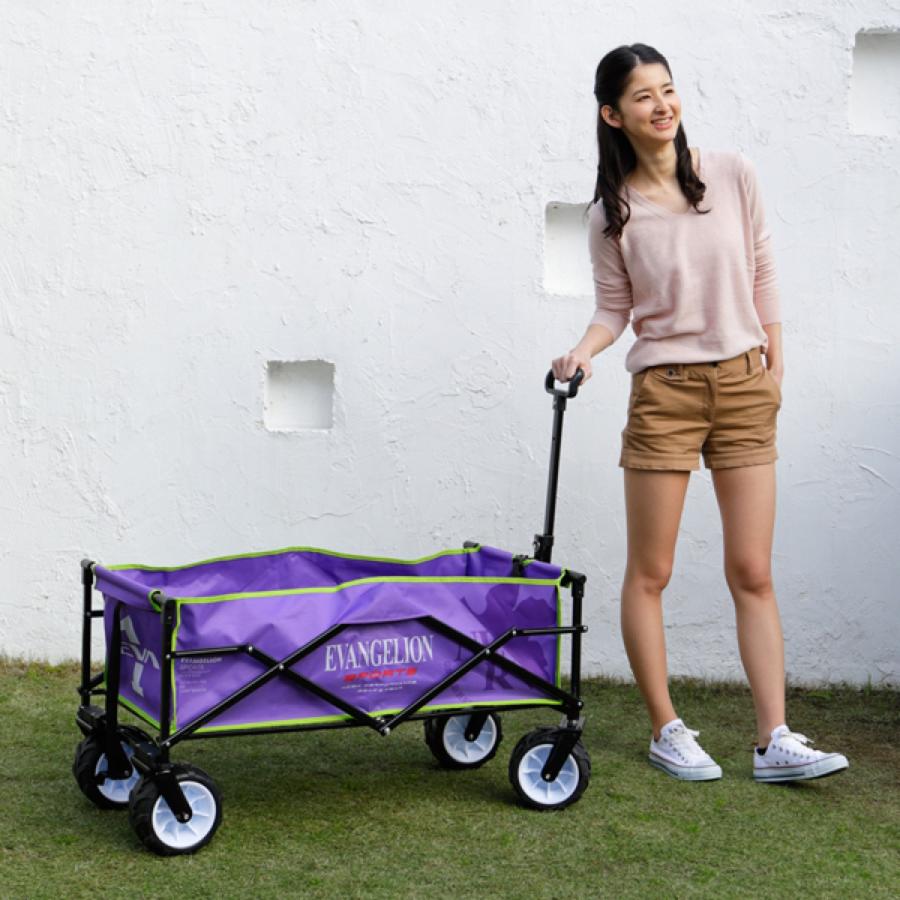 ドウシシャ DO-20E02 エヴァンゲリオン スポーツ キャリーワゴン (R) |  | 02