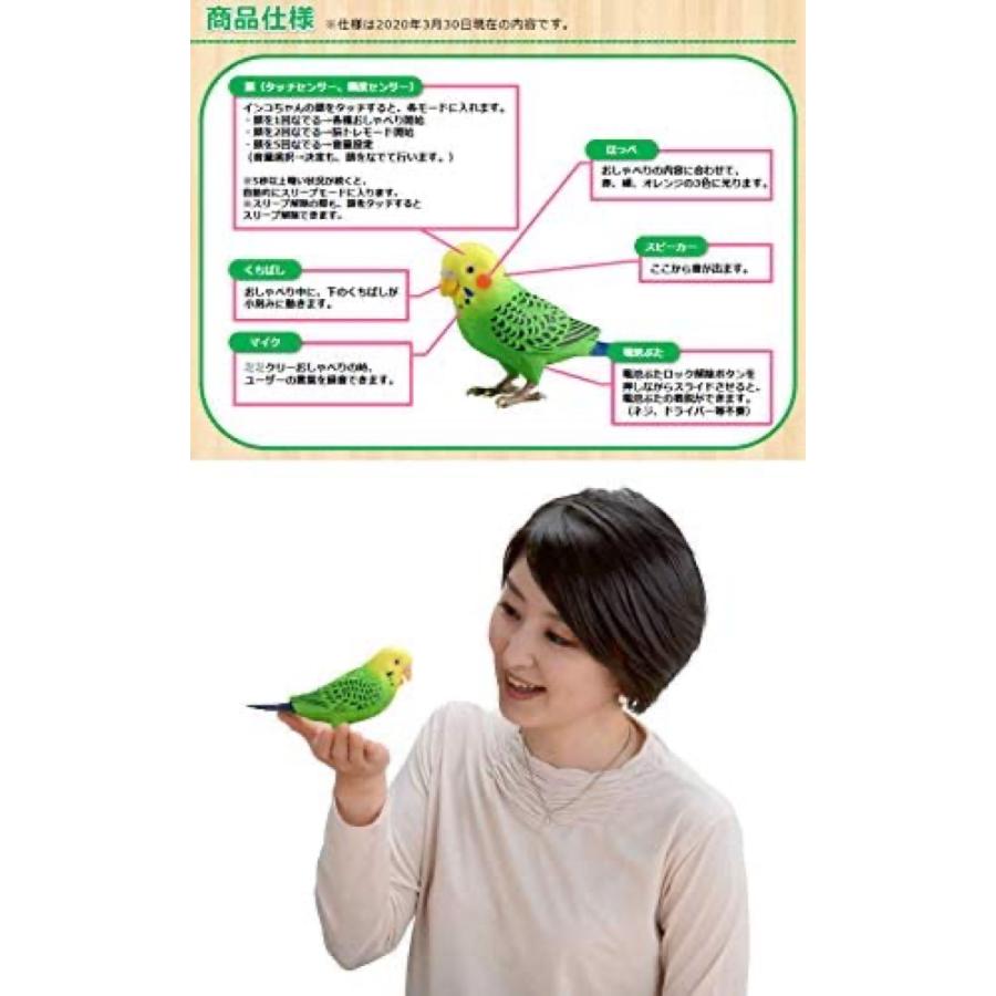 タカラトミー 毎日おしゃべり 天才インコちゃん diji-4904810 タカラ (08) |  | 04
