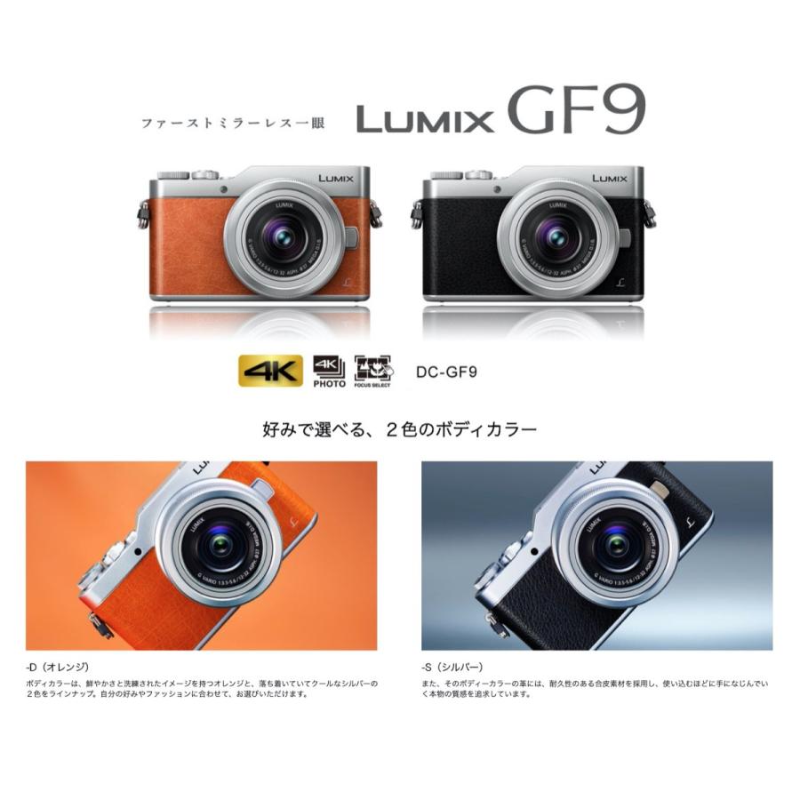 パナソニック DC-GF9W-D GF9 ダブルズームレンズキット LUMIX