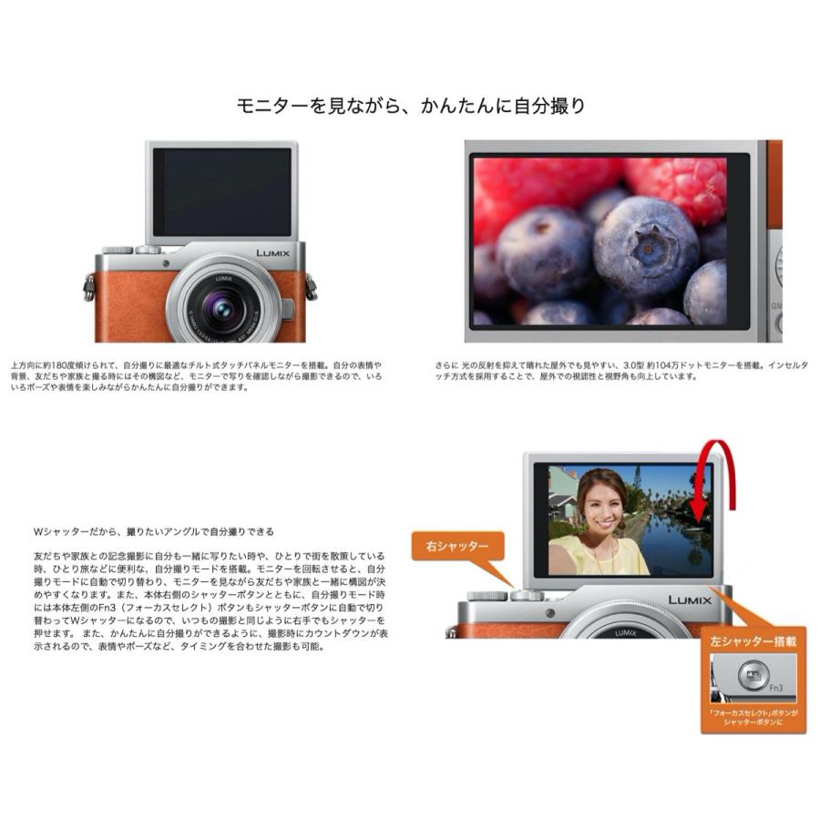 パナソニック DC-GF9W-D GF9 ダブルズームレンズキット LUMIX Panasonic (08) | LUMIX | 02