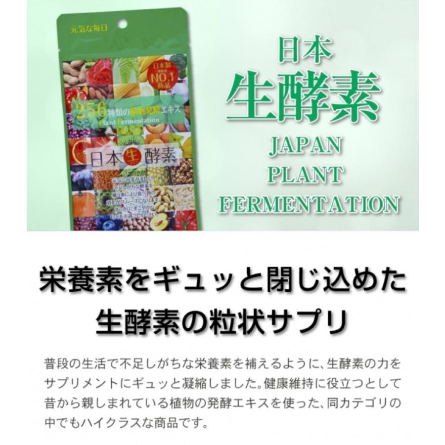 日本生酵素 60粒入 1パック 国内厳選256種類の植物発酵エキス  (1C) 日本生酵素 1個 |  | 02