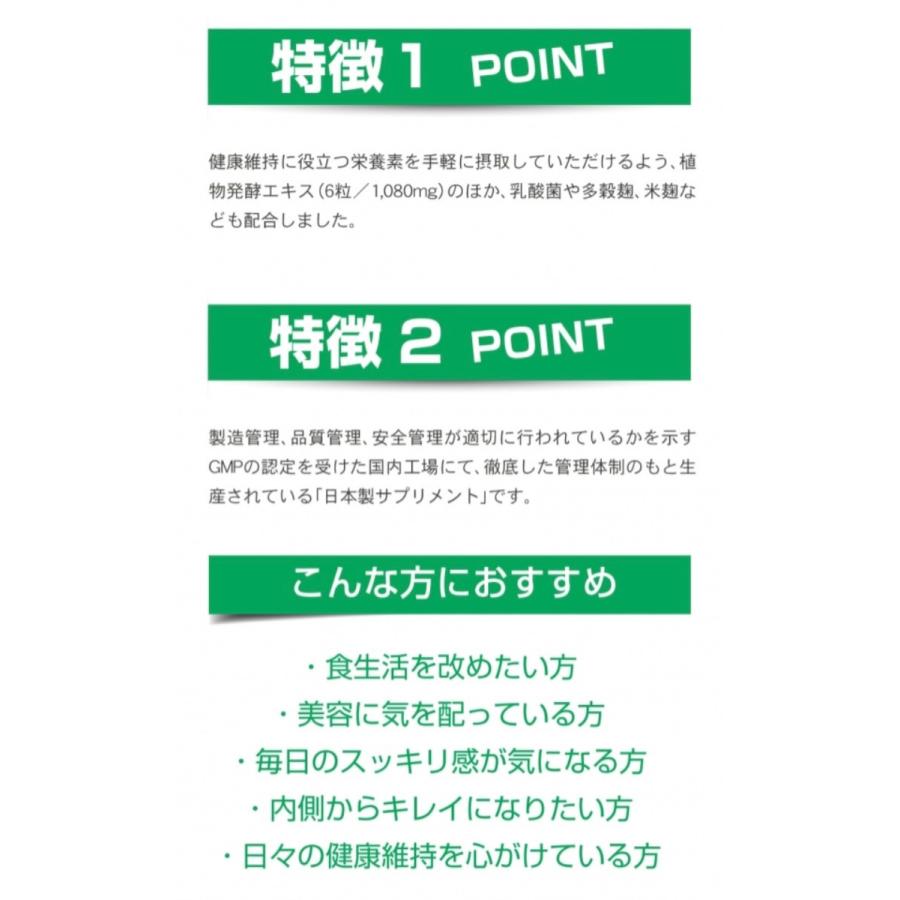日本生酵素 60粒入 1パック 国内厳選256種類の植物発酵エキス  (1C) 日本生酵素 1個 |  | 03