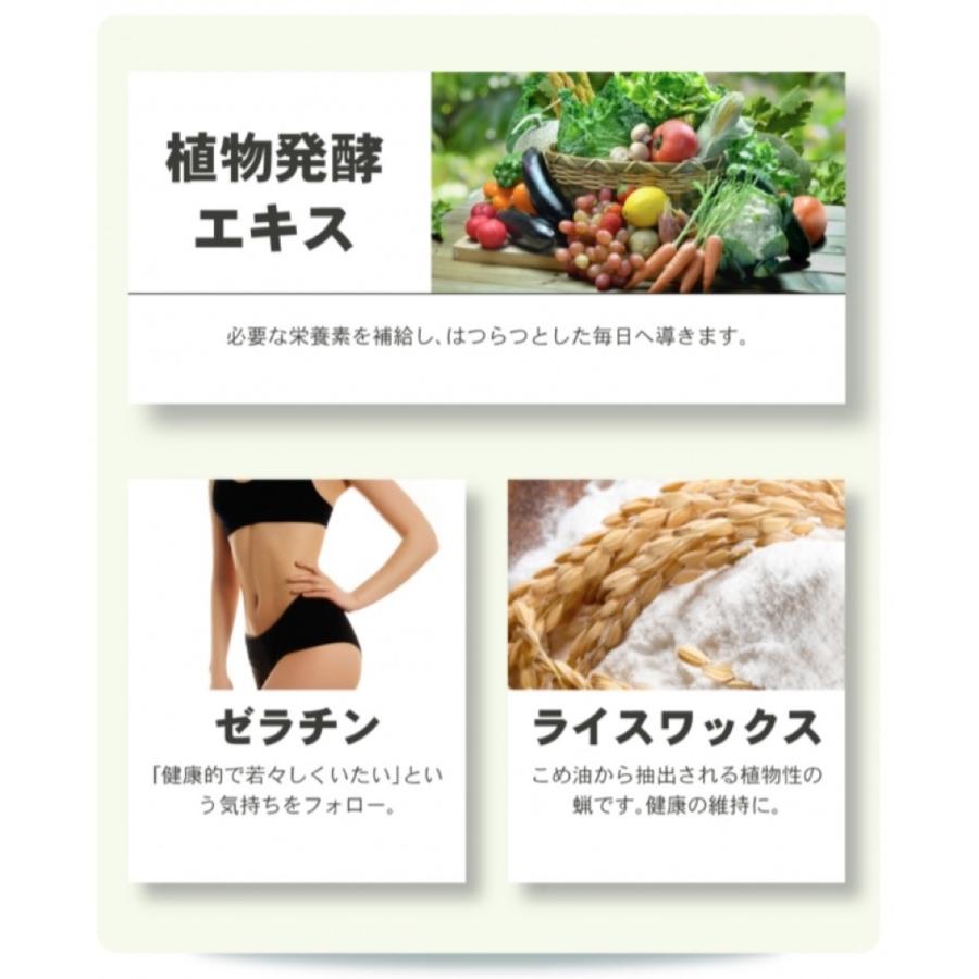 日本生酵素 60粒入 1パック 国内厳選256種類の植物発酵エキス  (1C) 日本生酵素 1個 |  | 04