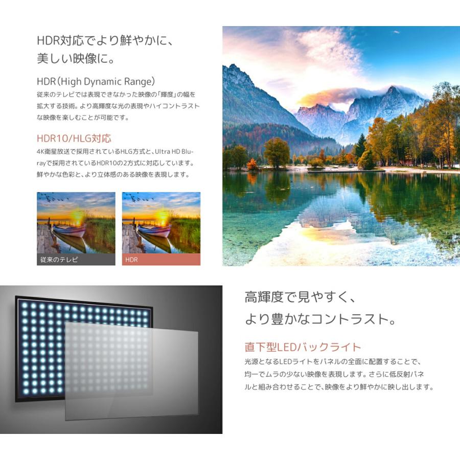 【法人様限定】【北海道・沖縄・離島不可】 ORION オリオン 65V型 液晶テレビ HDR10 OL65XD100  (M) | オリオン電気（ドウシシャ） | 03