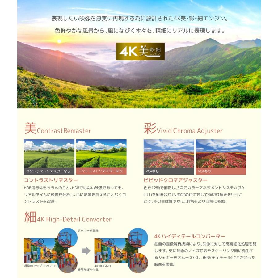 【法人様限定】【北海道・沖縄・離島不可】 ORION オリオン 65V型 液晶テレビ HDR10 OL65XD100  (M) | オリオン電気（ドウシシャ） | 04