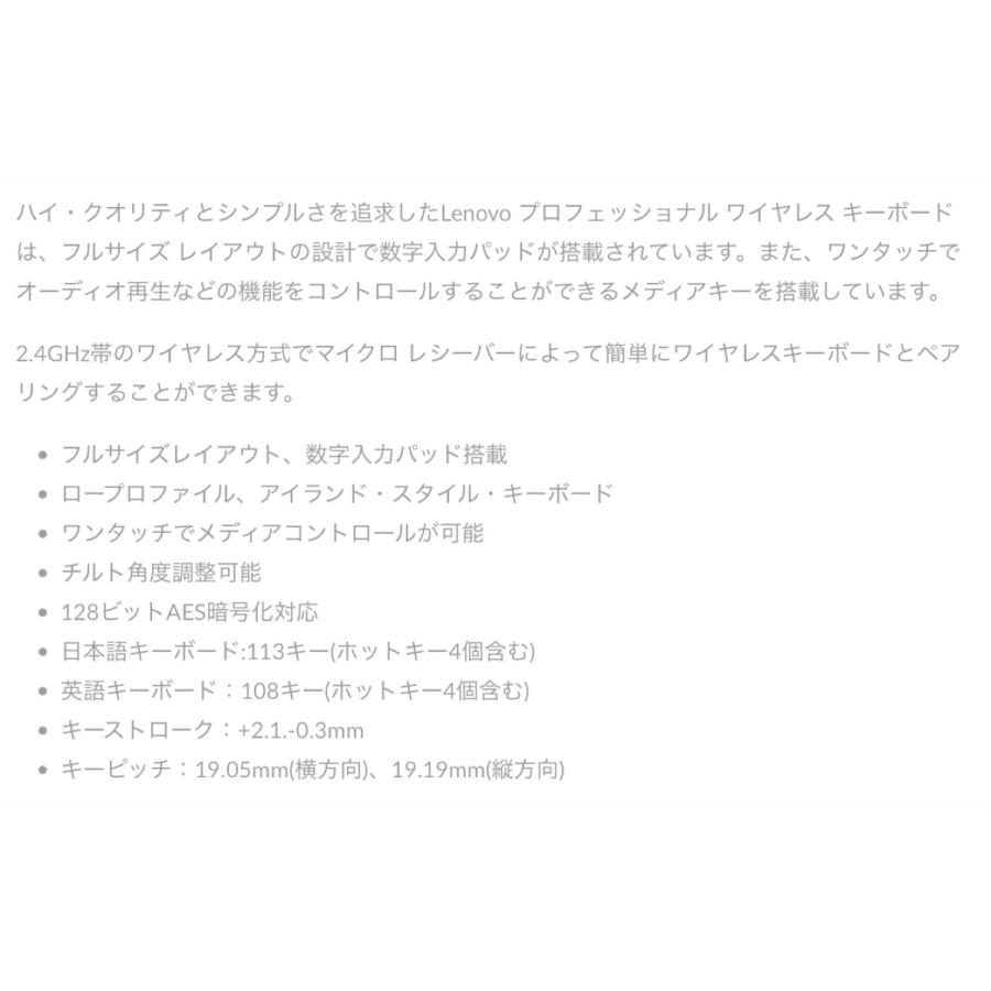 Lenovo 4X30H56862 プロフェッショナル ワイヤレス キーボード USBレシーバー レノボ (10) | Lenovo | 01