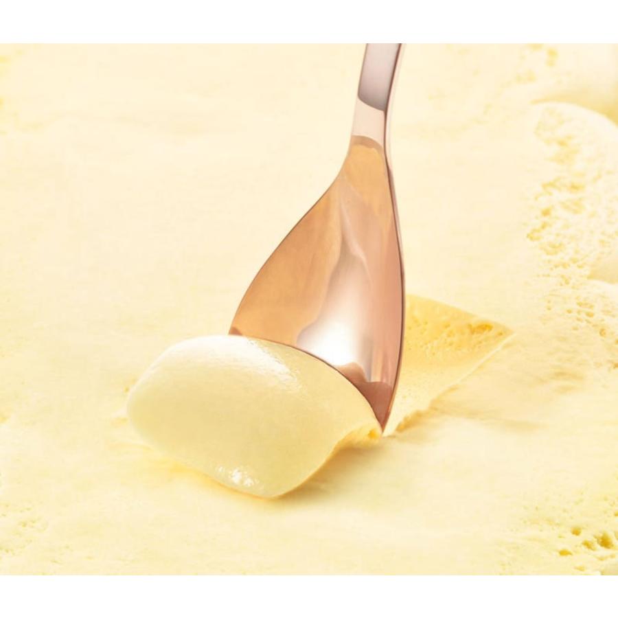 アサヒ aes AES-10PG 純銅 アイスクリームスプーン ピンクゴールド AES-10 (3C)アサヒ aes AES-10PG |  | 02