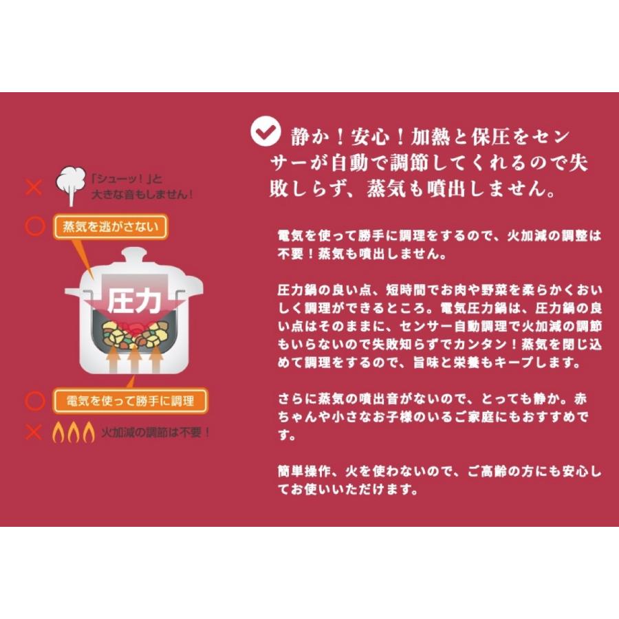 ワンダーシェフ OEDC30-R1 電気圧力鍋 3L 浜田陽子 クッキングブック付き 310163 (10) |  | 05