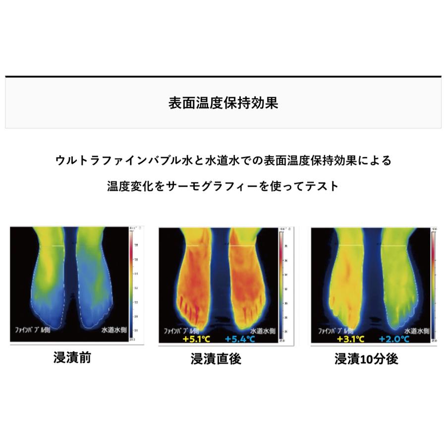富士計器 エニティ バブルマイスター ウルトラファインバブル Anyti シャワーヘッド用 7753 (05) |  | 02