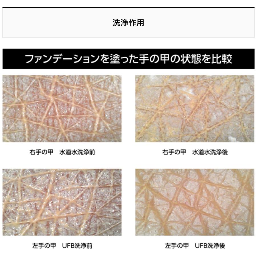 富士計器 エニティ バブルマイスター ウルトラファインバブル Anyti シャワーヘッド用 7753 (05) |  | 04