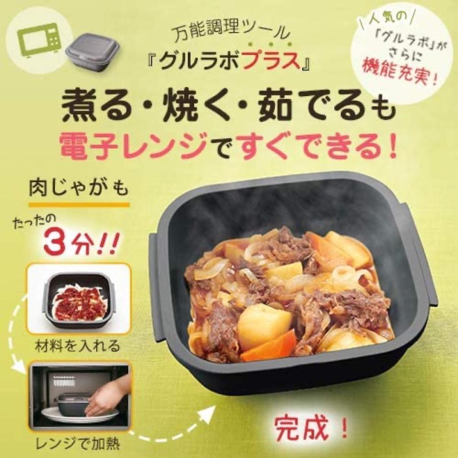 イワタニ IM-GLBMS グルラボプラス マルチセット 電子レンジ調理器 レシピ付き IWATANI (08) |  | 01