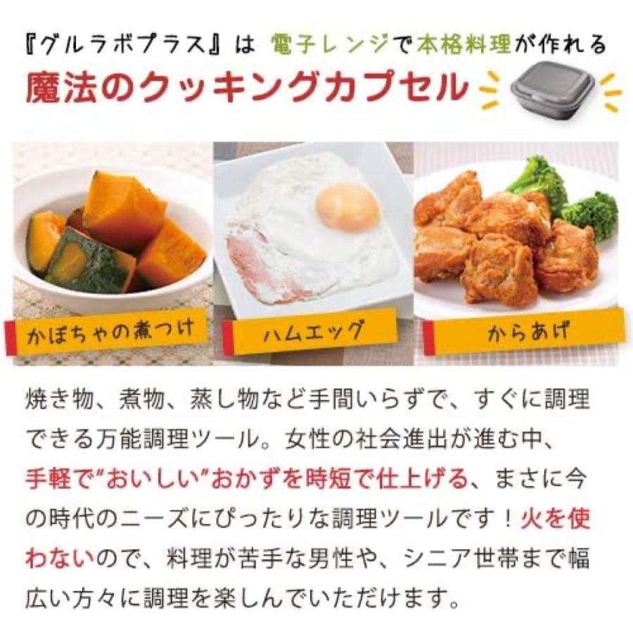 イワタニ IM-GLBMS グルラボプラス マルチセット 電子レンジ調理器 レシピ付き IWATANI (08) |  | 04