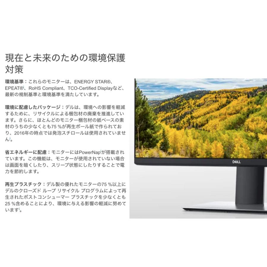 Dell P2421D 23.8インチワイドモニター QHD IPS 非光沢 ディスプレイ 液晶 デル (14) | DELL | 03