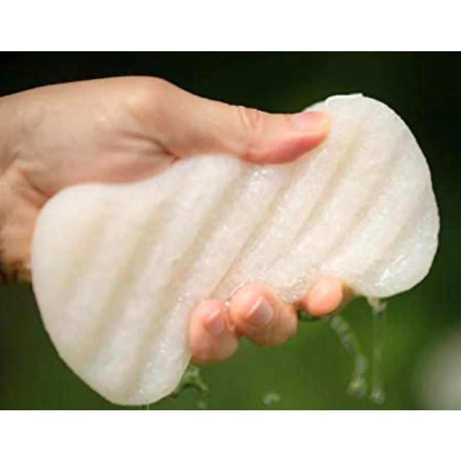 ぐでたま こんにゃくスポンジ ボディ用 1個 全身用  全国送料無料 (3C) ぐでたまこんにゃくスポンジ |  | 01