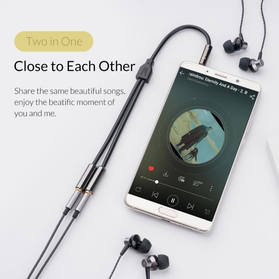 【処分特価】 ORICO AM-2F2 3.5mm オーディオ 分配ケーブル ステレオジャック AUX M to F 金メッキ オーディオケーブル 二股 2in1 0.25m オリコ (3C) |  | 02