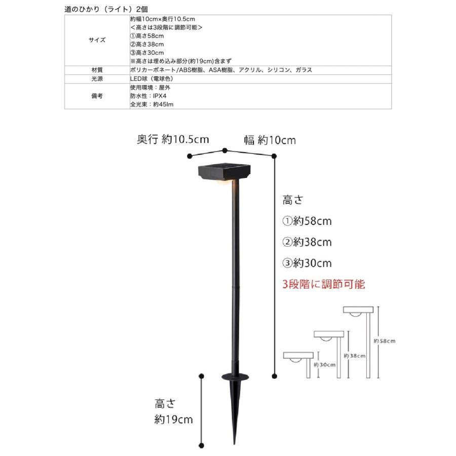 タカショー 花のひかり ソーラーライト ひかりノベーション 2個セット 庭 防水  LEDIUS HOME LGS-LH02P (08) | タカショー | 09