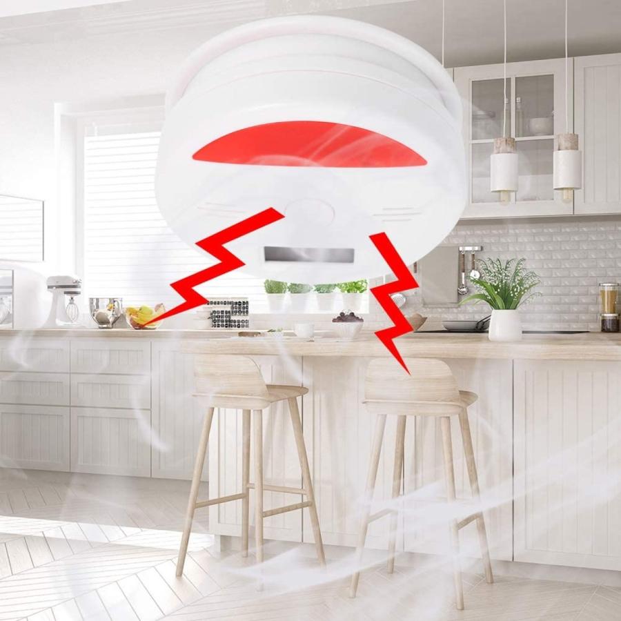 キャンプアラーム 一酸化炭素チェッカー 乾電池式 防災グッズ  ストーブ リビング  一酸化炭素中毒 (05) |  | 03