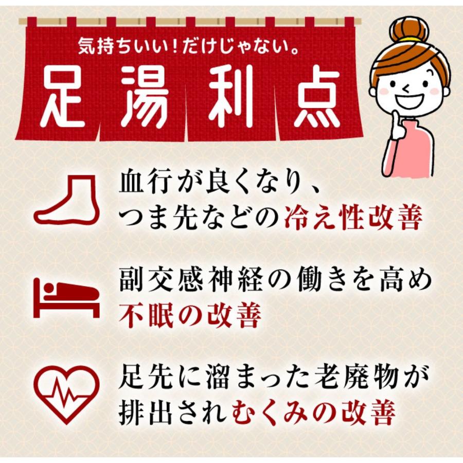 THANKO あし〜ゆ TK-FOT21BR お湯捨て簡単 加熱式 折りたたみ フットバス 足湯 フットスパ サンコー (10) | サンコー | 07