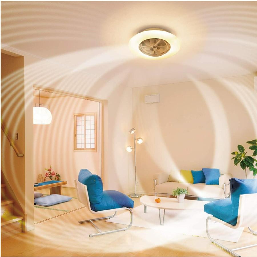 サーキュライト DCC-SW12CM シーリングシリーズ シーリングファン 12畳  CIRCULIGHT ドウシシャ (M) | Luminous | 06