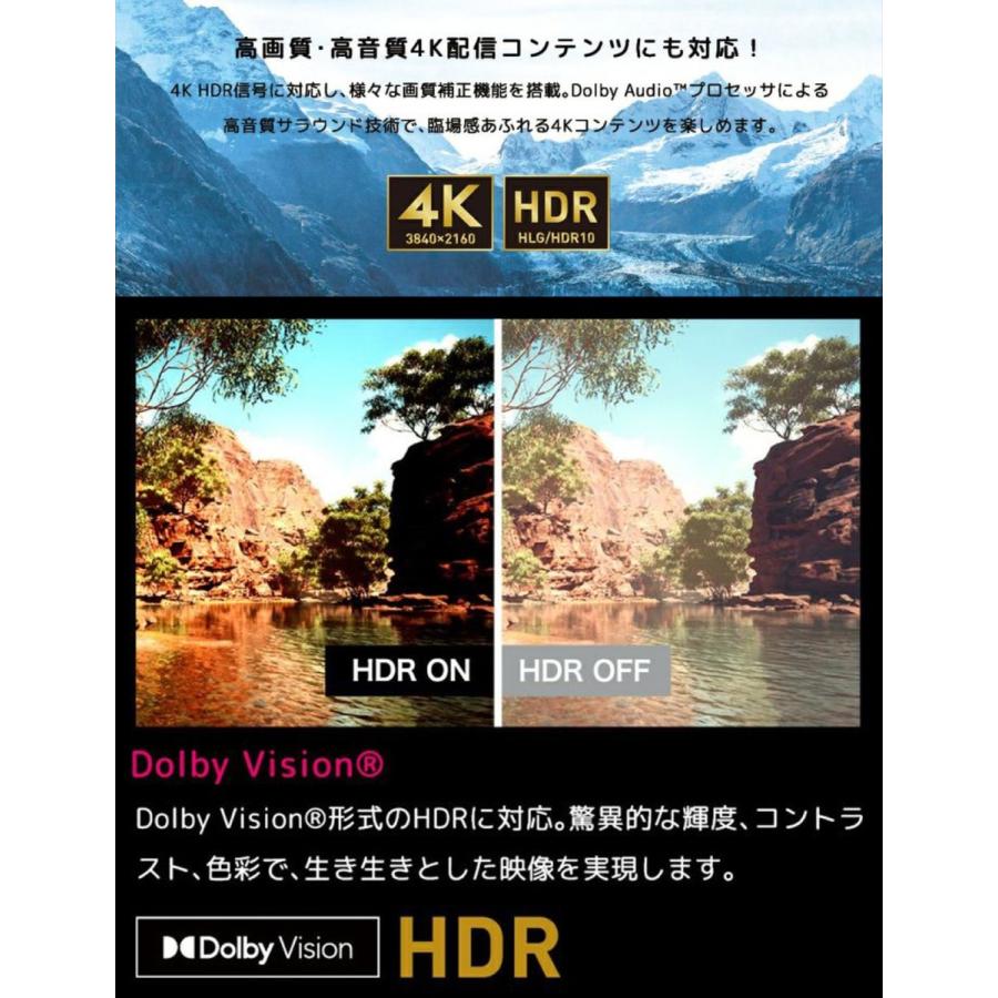 【法人様限定】 ORION SAUD501 AndroidTV 搭載 50型 スマートディスプレイ アンドロイド【北海道・沖縄・離島不可】 | ORION RDシリーズ | 05