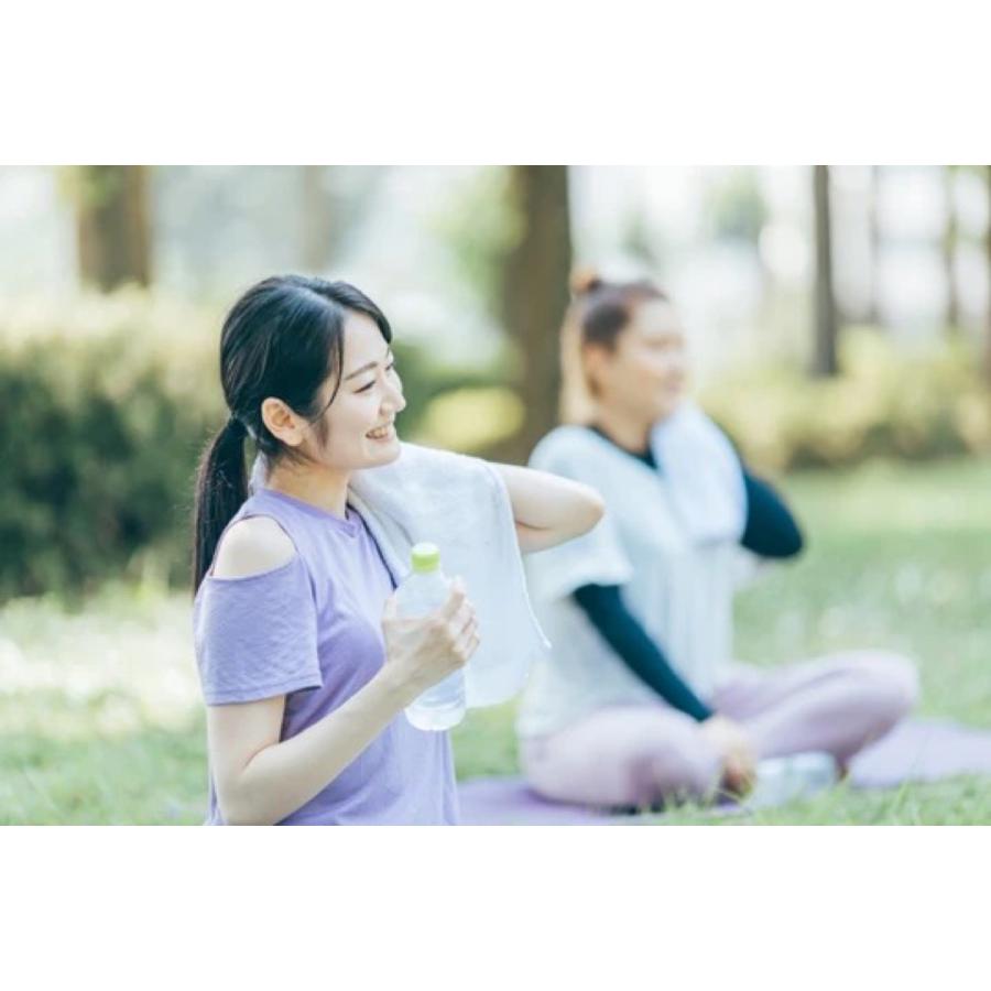 SodaSparkle 24本入(1箱)  SSK003-24 専用ガスカートリッジ マルチスパークル II MS2-1 ソーダスパークル (06) |  | 05