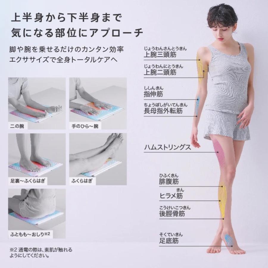 ATEX AX-KXL5700SV EMS シート ネクサ エクササイズ W360×L340×H20mm ルルド アテックス (06) |  | 06