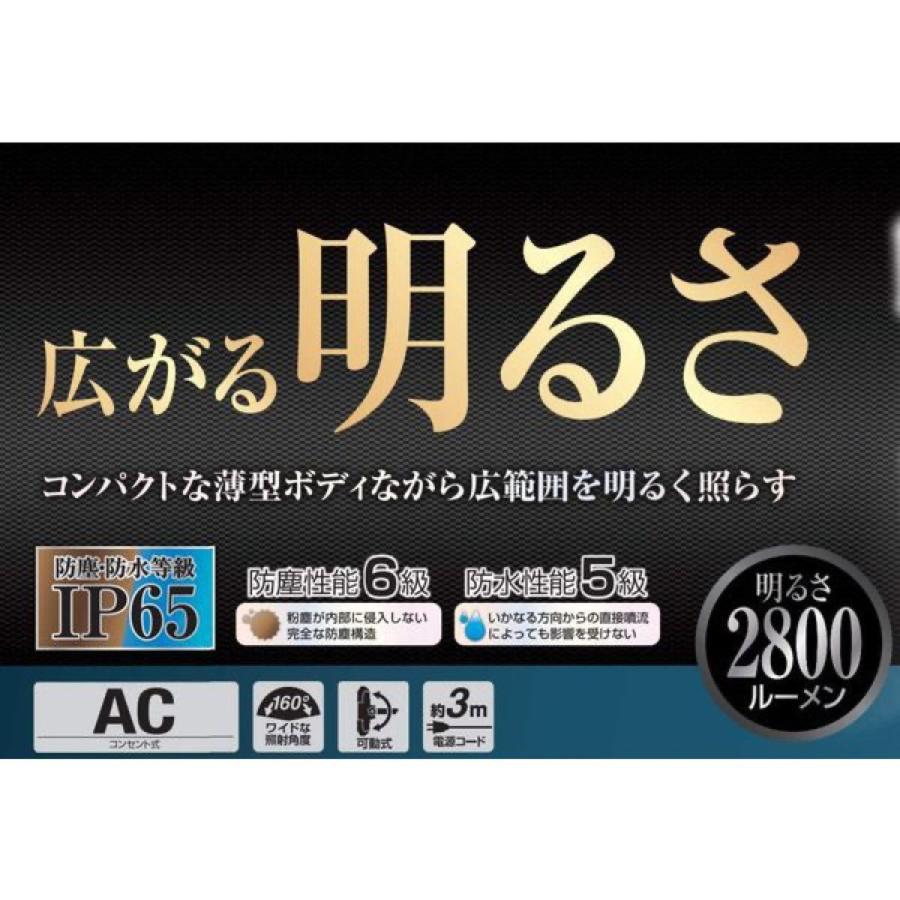 大進 DL-2800WLS LED 投光器 2800ルーメン 三脚付き 高さ調節可能 コンセント式 30W IP65 DAISHIN (06) | DAISHIN | 02