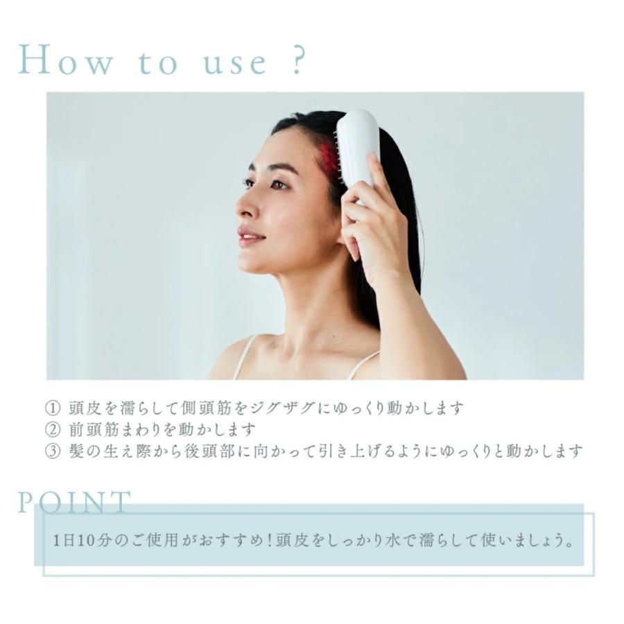WAVEWAVE Scalp Brush Premium EMS 電気ブラシ オイルタンク付 頭皮 頭筋 ブラシ 星岡商事 (06) | WAVEWAVE | 05