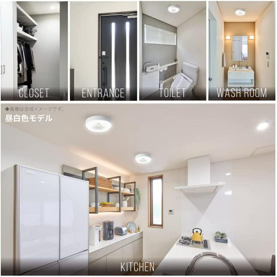 ルミナスLED オゾフル OZMH-W60 オゾン発生器搭載 シーリングライト 引掛けタイプ 昼白色 電球色 Luminous ドウシシャ (06) | Luminous | 03