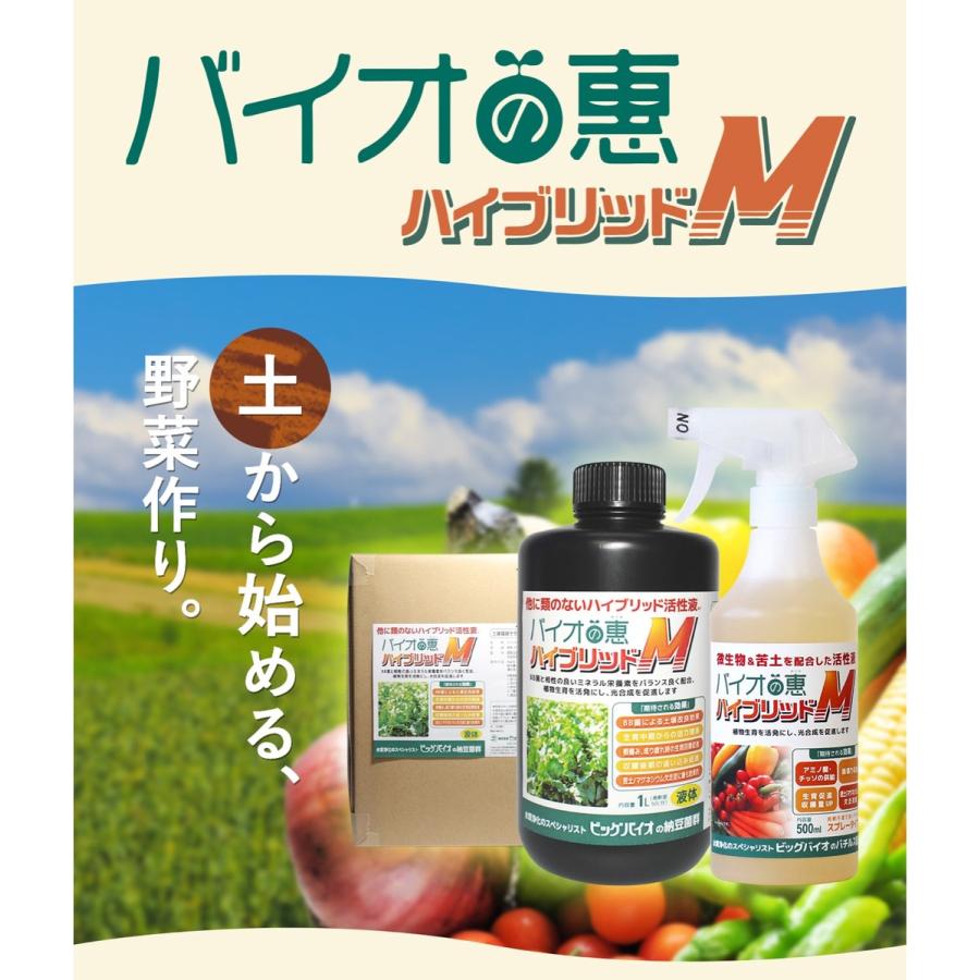 [2本セット] バイオの惠 ハイブリッドＭ スプレー BIGBIO バイオの惠 植物 野菜 土壌改良 ビッグバイオ (06) |  | 01