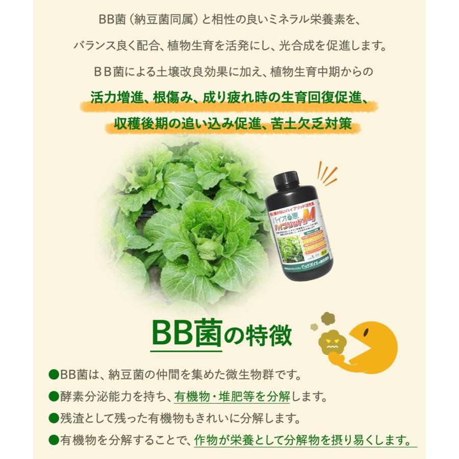 [3本セット] バイオの惠 ハイブリッドＭ スプレー BIGBIO バイオの惠 植物 野菜 土壌改良 ビッグバイオ (06) |  | 02