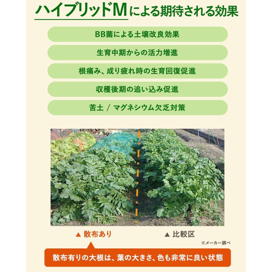 [3本セット] バイオの惠 ハイブリッドＭ スプレー BIGBIO バイオの惠 植物 野菜 土壌改良 ビッグバイオ (06) |  | 04