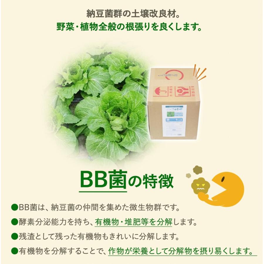 バイオの惠 液体タイプ 10L BIGBIO 50〜100倍希釈用 土壌改良 成長促進 植物 野菜 希釈済み ビッグバイオ (M) |  | 02